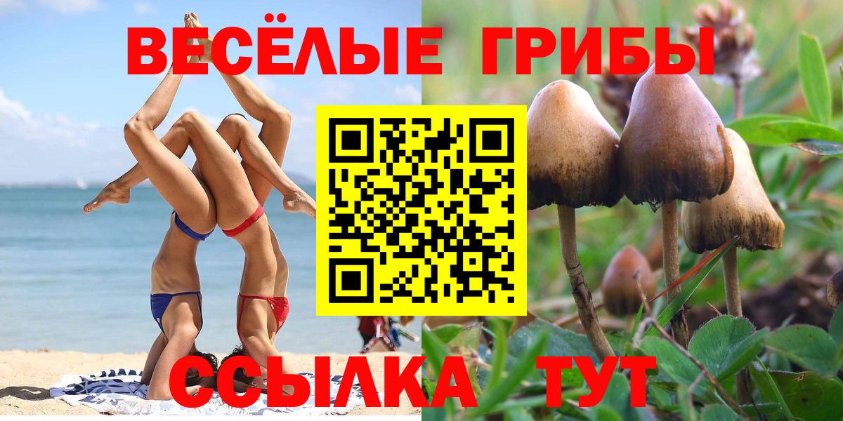Псилоцибиновые грибы прущие грибы Выкса